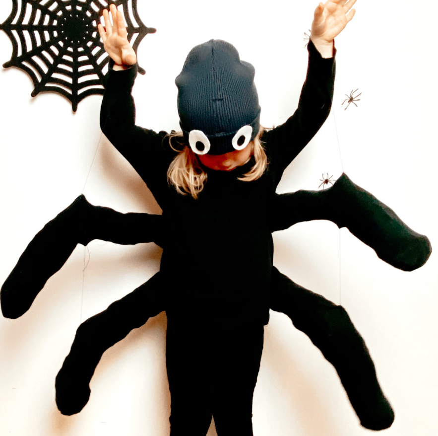 kostüm spinne